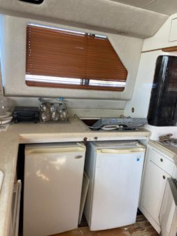 
										SEA RAY 55 full									