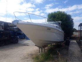 SEA RAY SUNDANCER 27