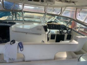 SEA RAY SUNDANCER 44