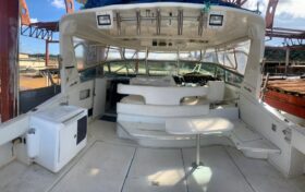 SEA RAY SUNDANCER 44