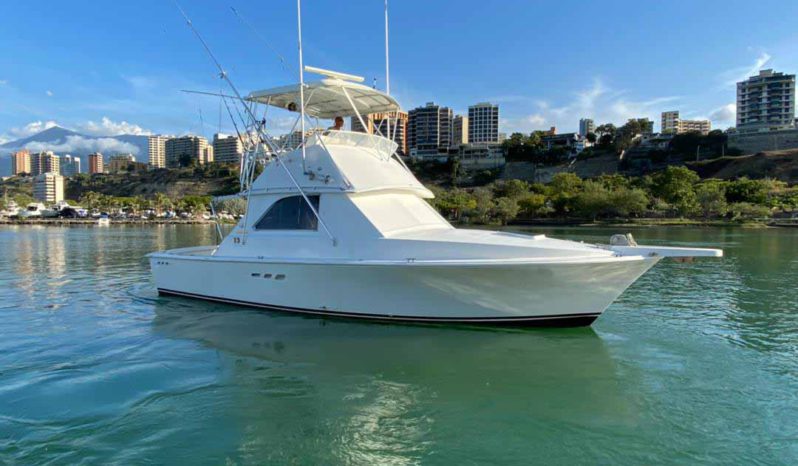 
								SEA RAY SUNDANCER 33 full									