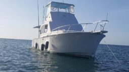 HATTERAS FISHER MOTOR YACHT BOAT CONVERTIBLE 36