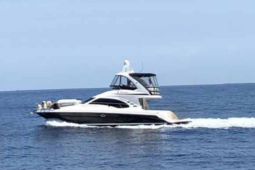 
										SEA RAY SEDAN BRIDGE 44 full									