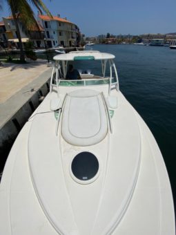 
										SEA RAY SEDAN BRIDGE 36 full									