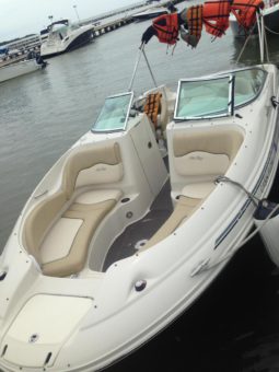 
										SEA RAY 23 full									