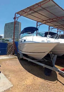 
										SEA RAY 24 full									