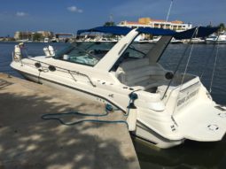 
										SEA RAY 290 31 full									