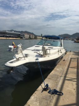 
										SEA RAY 290 31 full									