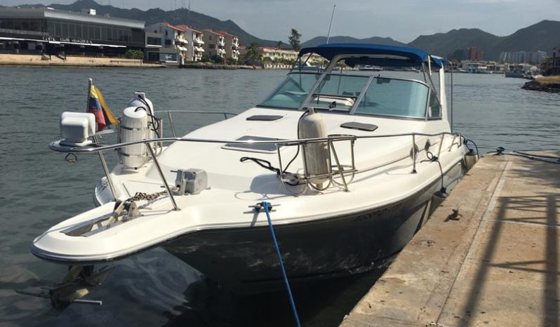 
								SEA RAY 290 31 full									