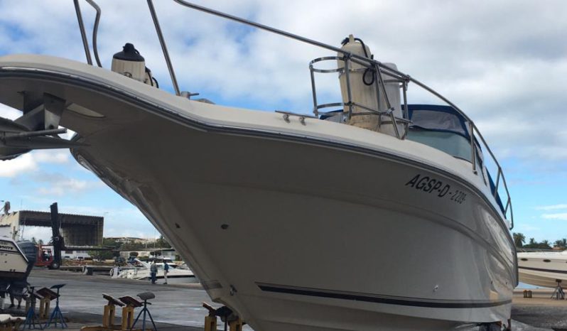 
								SEA RAY 290 31 full									