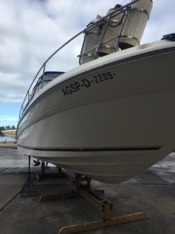 
										SEA RAY 290 31 full									