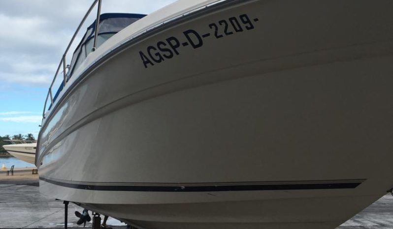 
								SEA RAY 290 31 full									