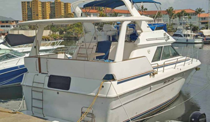 
								SEA RAY 380AC 38 full									