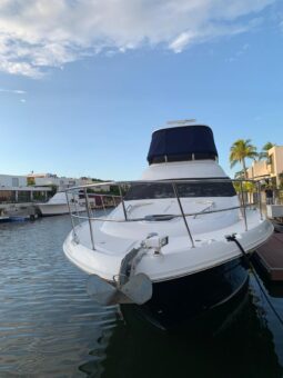 
										SEA RAY 52 full									