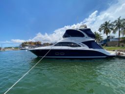 
										SEA RAY FLYBRIDGE 50 full									