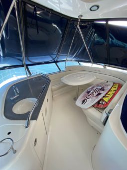 
										SEA RAY FLYBRIDGE 50 full									