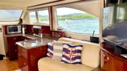 
										SEA RAY FLYBRIDGE 52 full									