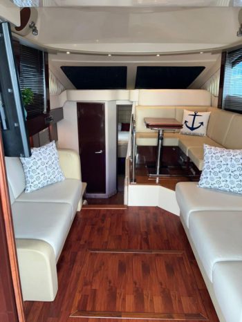 
								SEA RAY SEDAN BRIDGE 36 full									