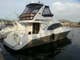 
										SEA RAY SEDAN BRIDGE 44 full									