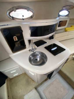 
										SEA RAY SUNDANCER 270 full									