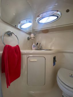 
										SEA RAY SUNDANCER 270 full									