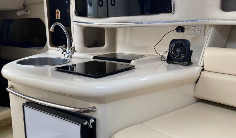 
								SEA RAY SUNDANCER 270 full									