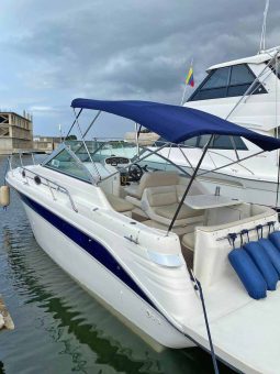 
										SEA RAY SUNDANCER 270 full									