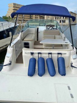 
										SEA RAY SUNDANCER 270 full									