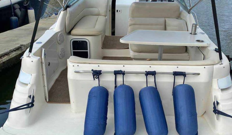 
								SEA RAY SUNDANCER 270 full									