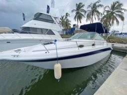 
										SEA RAY SUNDANCER 270 full									