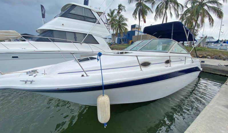 
								SEA RAY SUNDANCER 270 full									