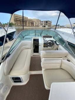 
										SEA RAY SUNDANCER 270 full									