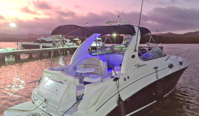 
								SEA RAY SUNDANCER 28 full									