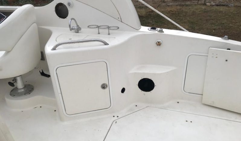 
								SEA RAY SUNDANCER 28 full									