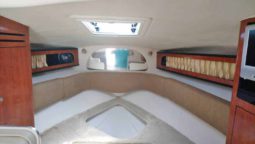 
										SEA RAY SUNDANCER 28 full									