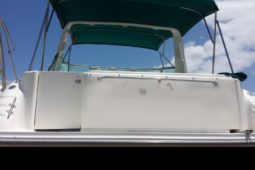 
										SEA RAY SUNDANCER 30 full									