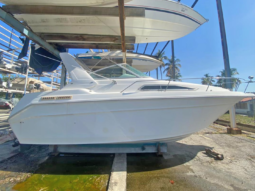 
										SEA RAY SUNDANCER 30 full									