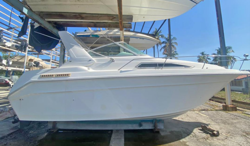 
								SEA RAY SUNDANCER 30 full									