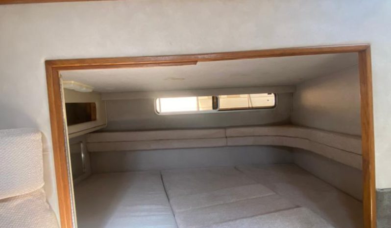 
								SEA RAY SUNDANCER 30 full									