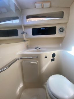 
										SEA RAY SUNDANCER 30 full									