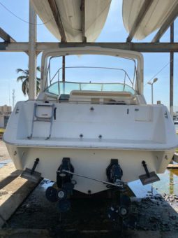 
										SEA RAY SUNDANCER 30 full									