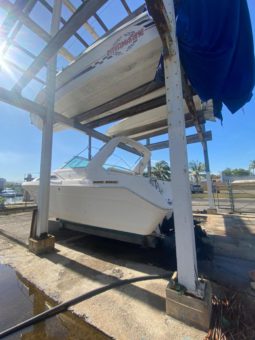 
										SEA RAY SUNDANCER 30 full									