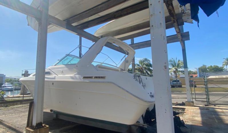 
								SEA RAY SUNDANCER 30 full									