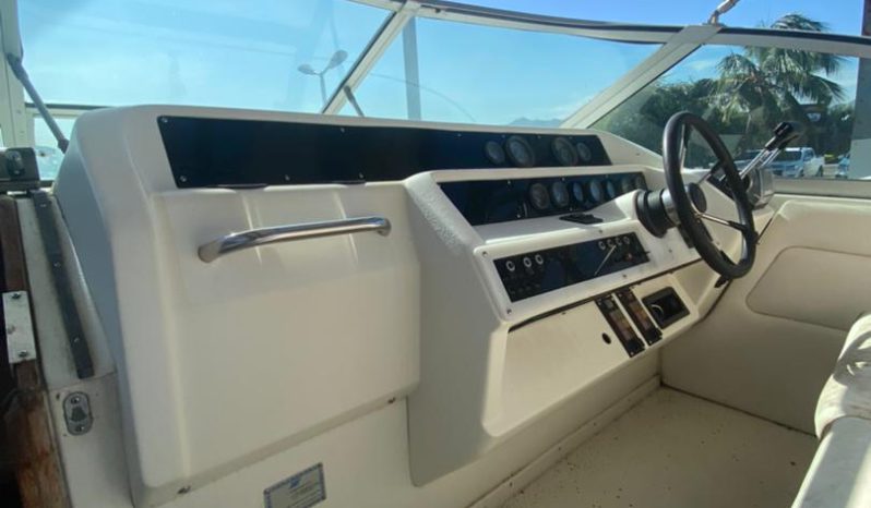 
								SEA RAY SUNDANCER 30 full									