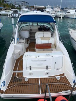 
										SEA RAY SUNDANCER 33 full									