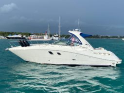 
										SEA RAY SUNDANCER 33 full									