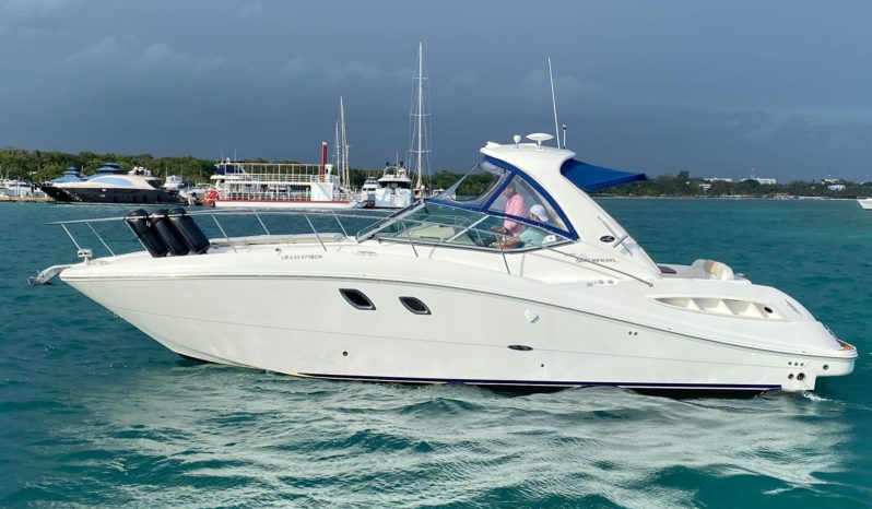 
								SEA RAY SUNDANCER 33 full									