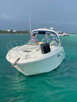 
										SEA RAY SUNDANCER 33 full									