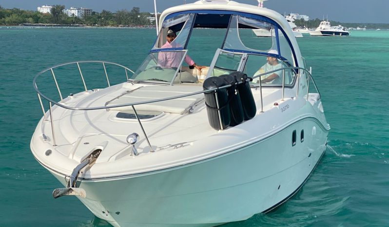 
								SEA RAY SUNDANCER 33 full									