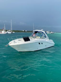 
										SEA RAY SUNDANCER 33 full									